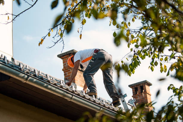 Best Residential Roofing Contractor  in Palm Harbor, FL