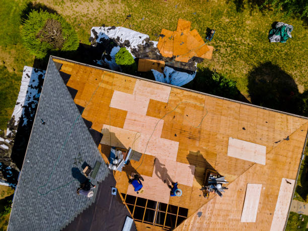 Best Roof Gutter Cleaning  in Palm Harbor, FL