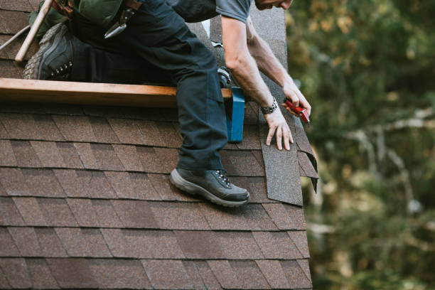 Best Commercial Roofing Services  in Palm Harbor, FL